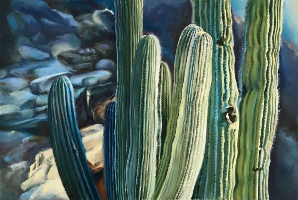 Saguaros by michele norman