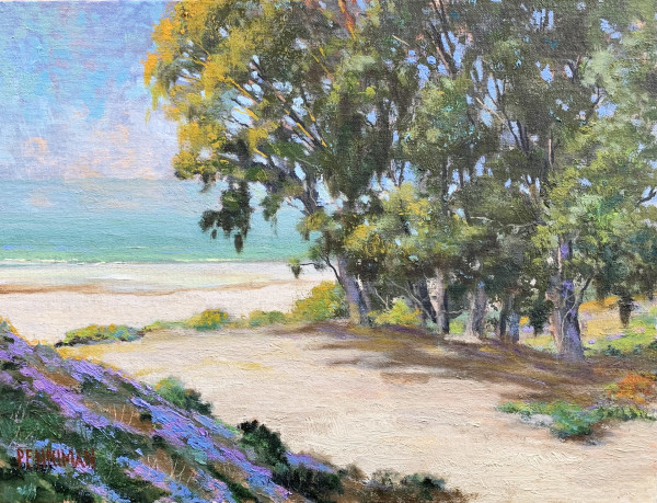 Hidden Beach, Aptos