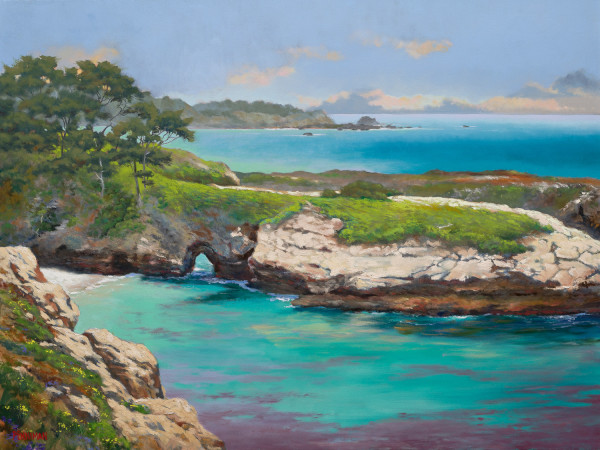 China Cove, Point Lobos by Ed Penniman