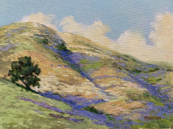 Los Padres Chalk Hills by Ed Penniman