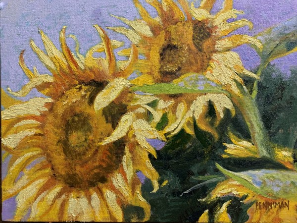 Sunflower Scraggle
