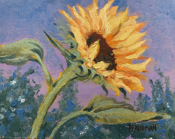Ukraine Sunflower XII by Ed Penniman