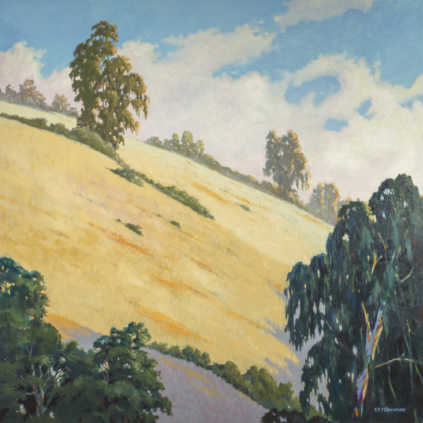 Pogonip Hillside, Santa Cruz by Ed Penniman