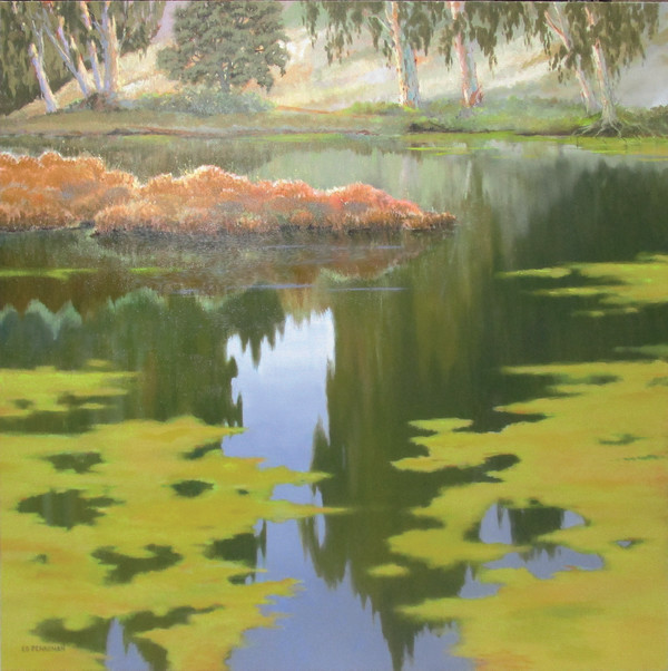 Live Oak, Corcoran Lagoon by Ed Penniman
