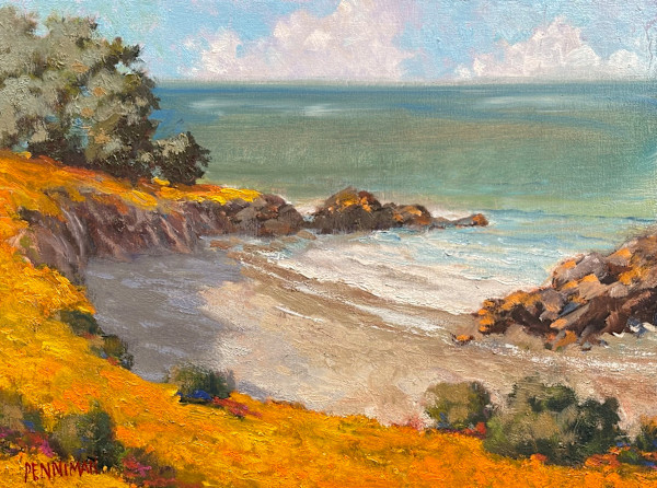 Poppy Cliffs by Ed Penniman
