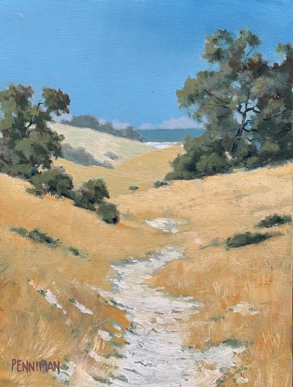 Country Road Los Padres Ntl Forest II by Ed Penniman