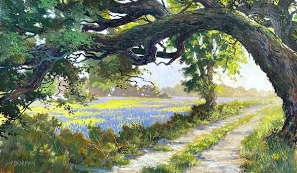 Los Padres Road by Ed Penniman