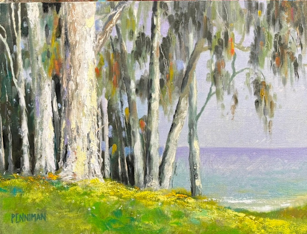 Coronado St. and Park Ave, Caoitola by Ed Penniman, Image 1.
