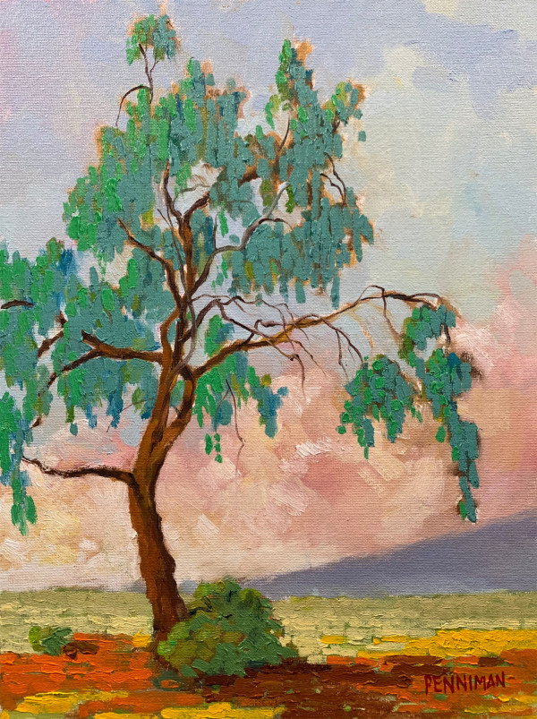 Lone Eucalyptus by Ed Penniman