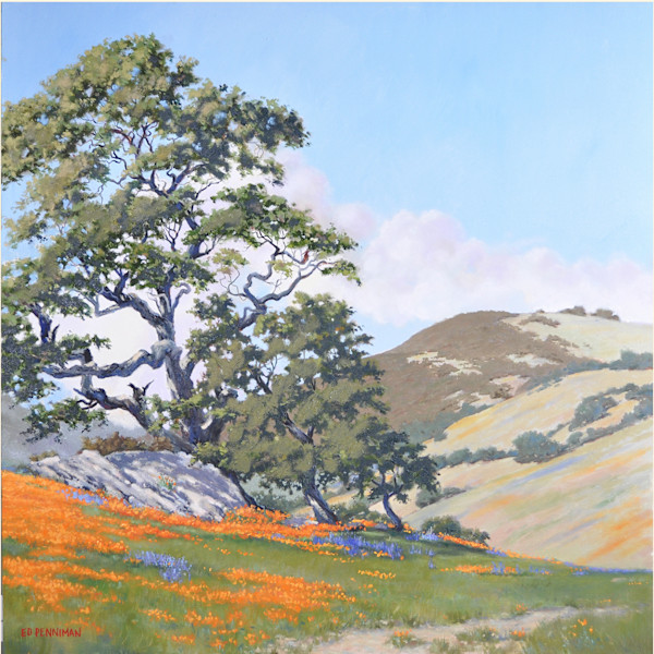 California Oaks and Poppies by Ed Penniman