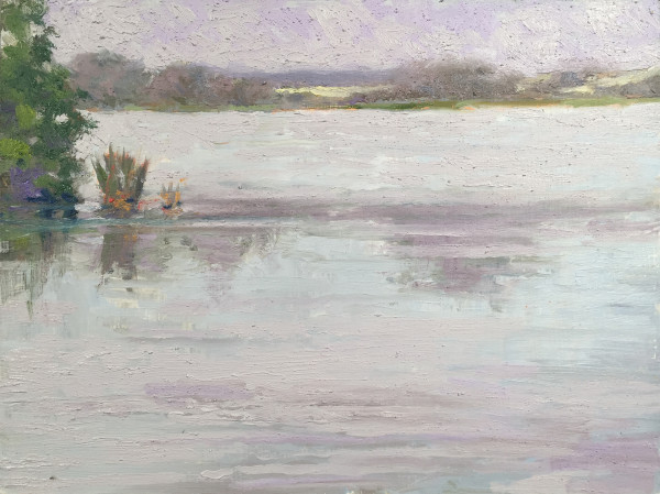 Harkins Slough by Ed Penniman