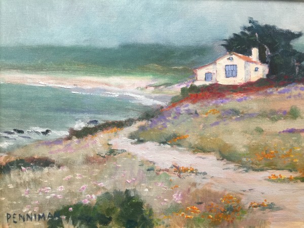 Home on Spanish Bay by Ed Penniman