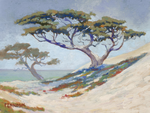 Duneside Cypress by Ed Penniman