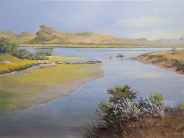 Pajaro Dunes Wetlands and River Confluence II by Ed Penniman