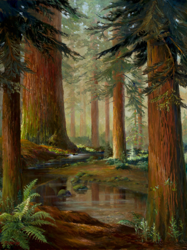 Redwood Serenity by Ed Penniman