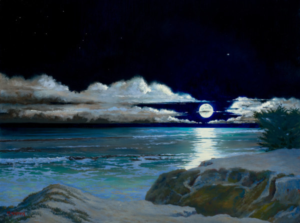 Venus Moon Meditation II by Ed Penniman