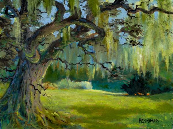 Bearded Oak Tree by Ed Penniman