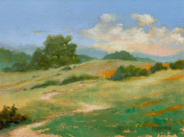 Soft Poppies and Hills by Ed Penniman