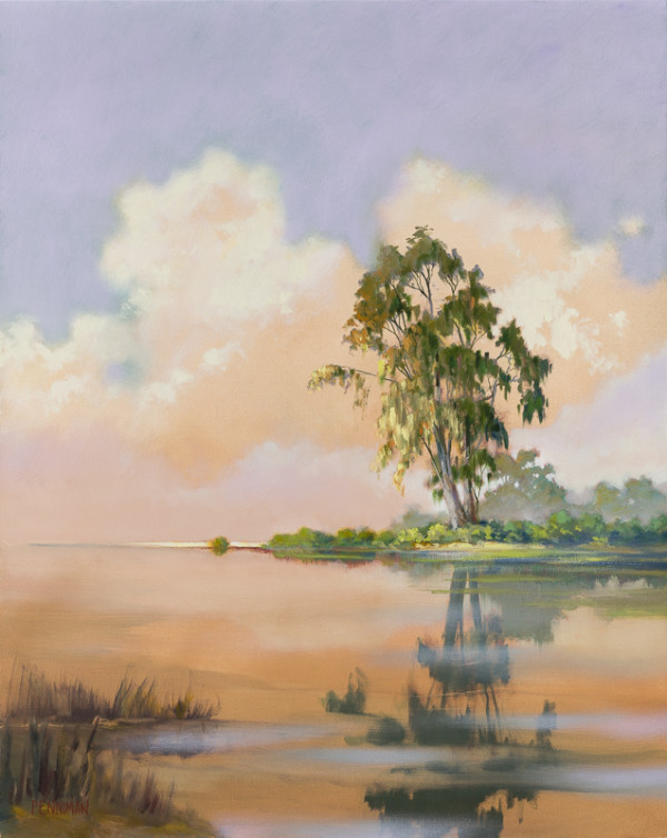 Still Water Lagoon by Ed Penniman