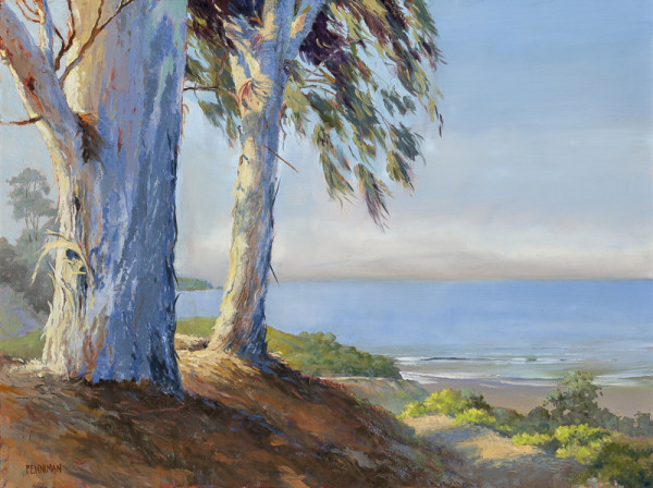 Eucalyptus View II by Ed Penniman