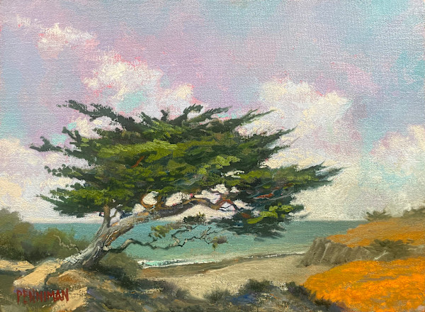 Cypress Wind by Ed Penniman
