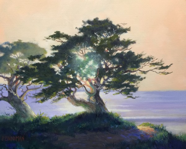 Lighthouse Field Cypress II by Ed Penniman