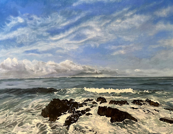 View of Freedom from Robbens Island SA by Suzi Zefting-Kuhn