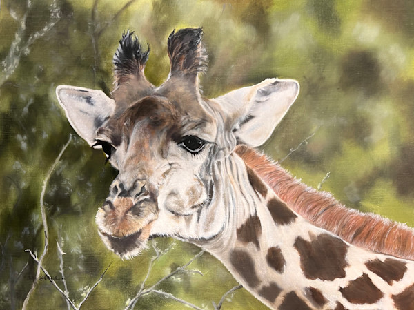 What Are You Looking At? by Suzi Zefting-Kuhn