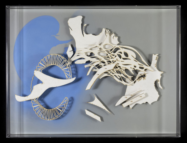 Arqueologías (Bimini) by Cecilia Duhau, Image 1.