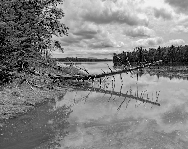Sentry | Killkenny Cove, Maine by Eric Oliver | Studio 109, Image 1.