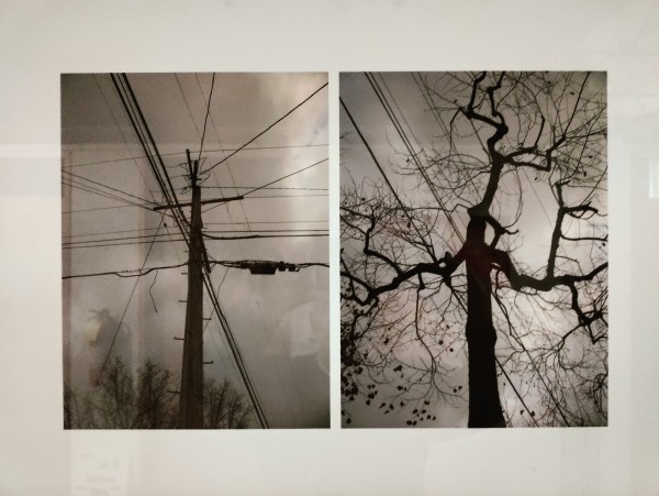 Juxtapositions #1 by Eric Oliver