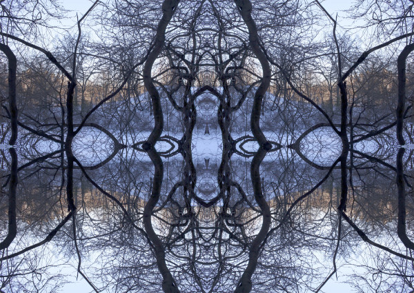Organic Symmetry by Eric Oliver