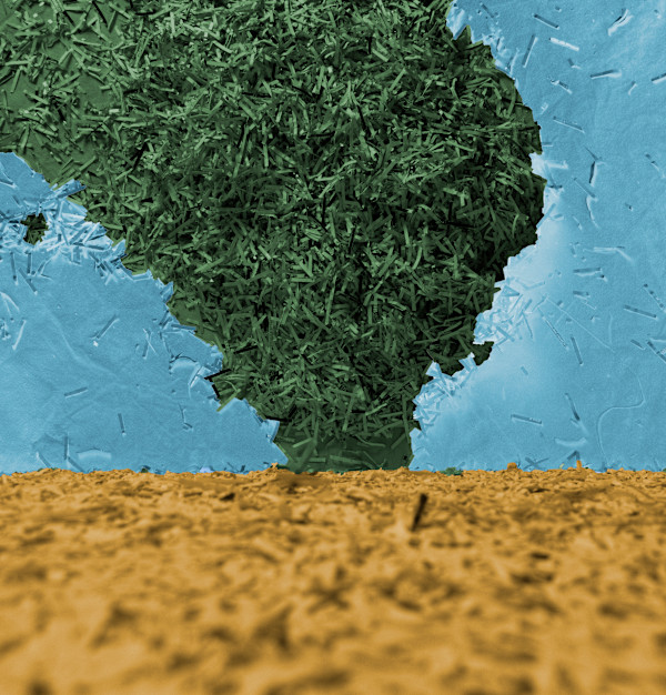 Paper Fire Watch by Eric Oliver