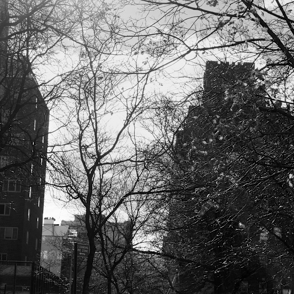 Promenade by Eric Oliver