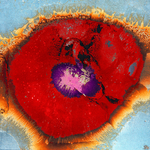 Steel Poppy by Eric Oliver