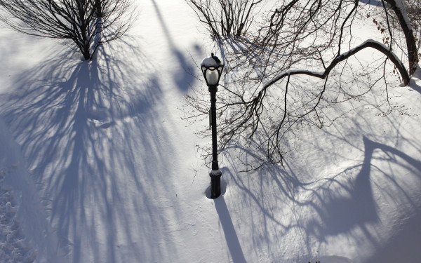 Lamp Post in the Snow by Eric Oliver