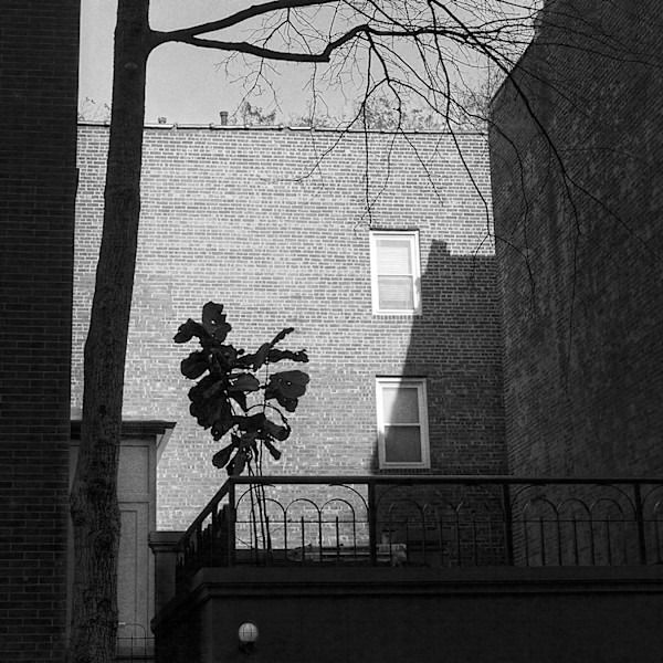 Lines of Interest by Eric Oliver