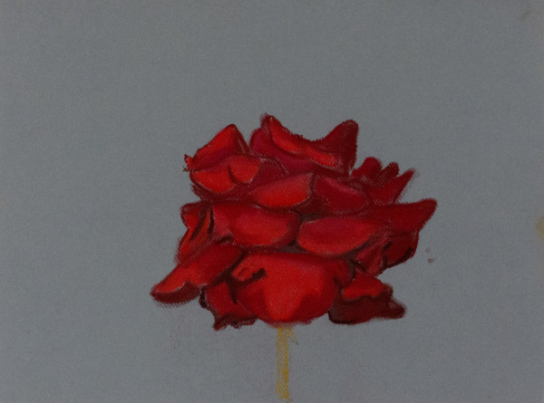 Red rose 4 by Natalya