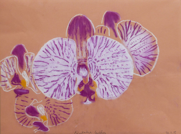 Orchids sketch 4 by Natalya