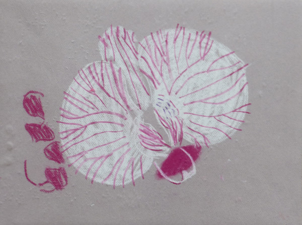 Orchid sketch 5 by Natalya