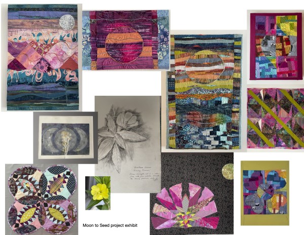 Moon/Seed Project 2024 by Julia Muench, Image 18.
