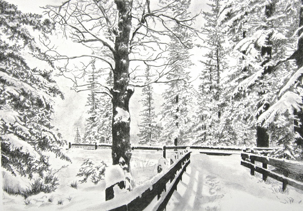 "Snowy Lane" © by John Drury