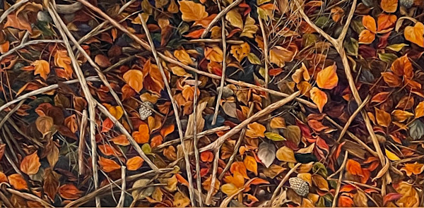 Sixteen Sticks by Laura Wise