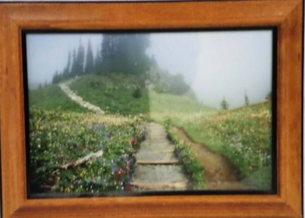 Untitled by Steven Larson, Dr. Sandy Cok
