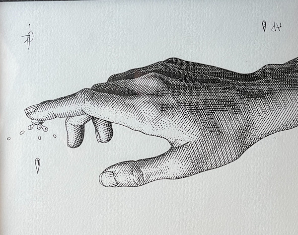 Hand by Olivia Knapp