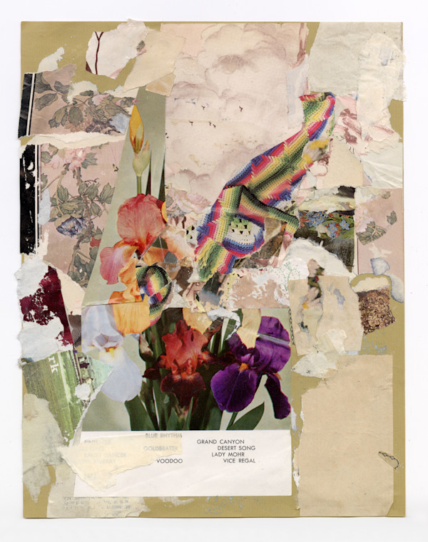 Iris Song by Andrea Burgay