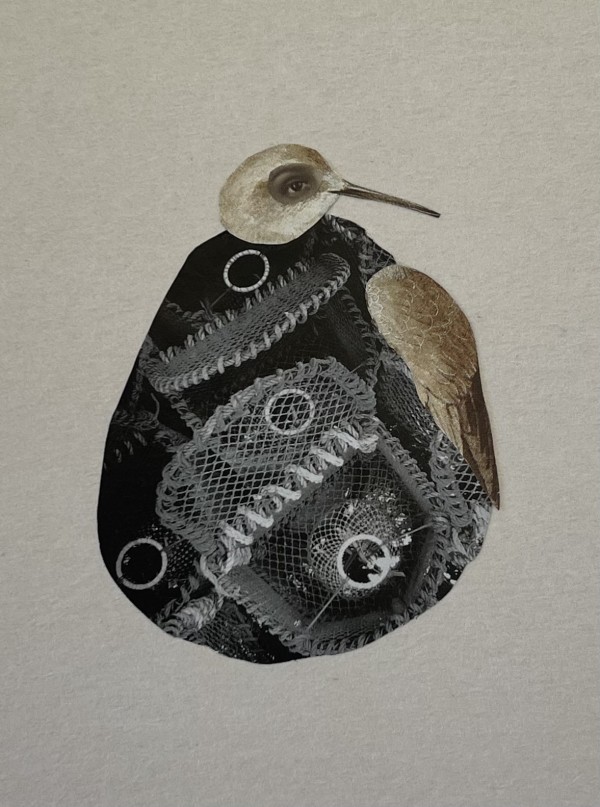 Strange Bird by Agnieszka Zajac