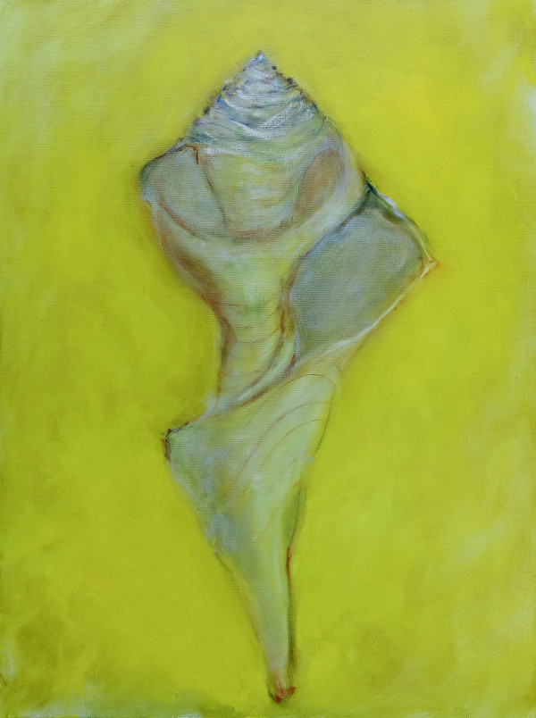 Broken Whelk on Yellow by Leslie K Lyon