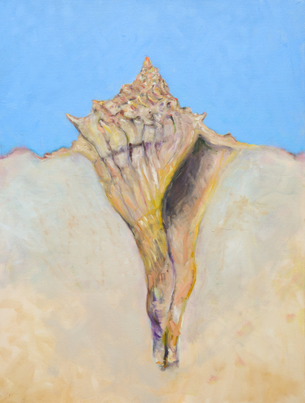 Seabrook Whelk
