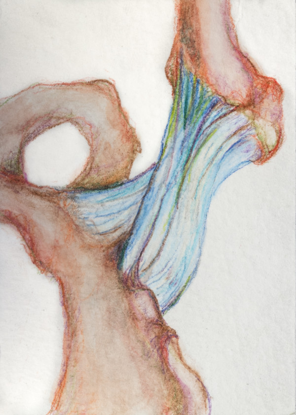 IMG_3442-3_t0elq3_9 by Leslie K Lyons
